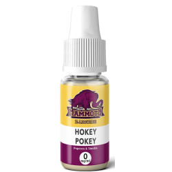 E LIQUIDE HOKEY POKEY 10ML - MAMMOTH--alavape.com