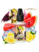 SUCCUBE V2 CONCENTRÉ 30ML - ULTIMATE A&L-DIY - Do It Yourself-alavape.com