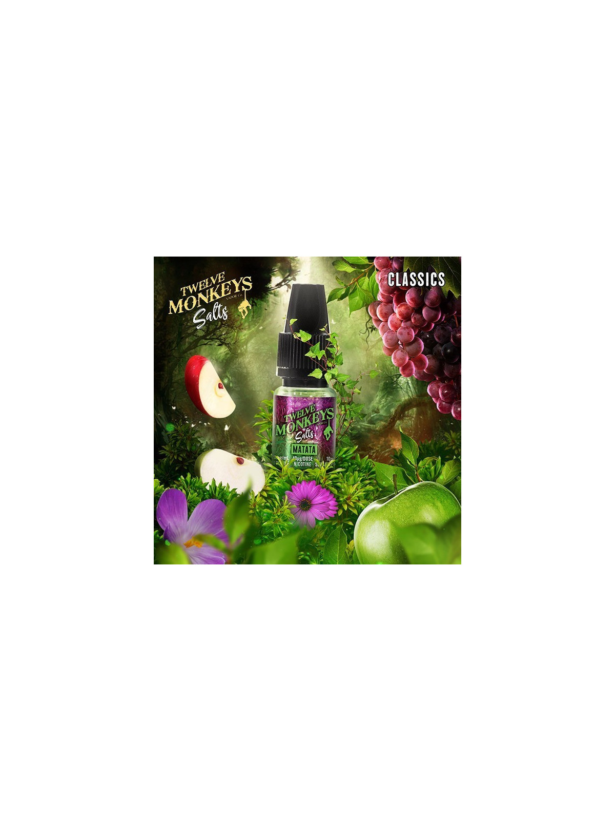 E LIQUIDE MATATA SALTS - TWELVE MONKEYS--alavape.com