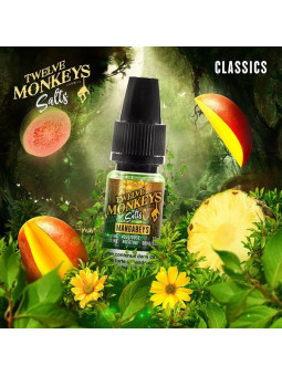 E LIQUIDE MANGABEYS SALTS - TWELVE MONKEYS--alavape.com