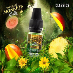 E LIQUIDE MANGABEYS SALTS - TWELVE MONKEYS--alavape.com