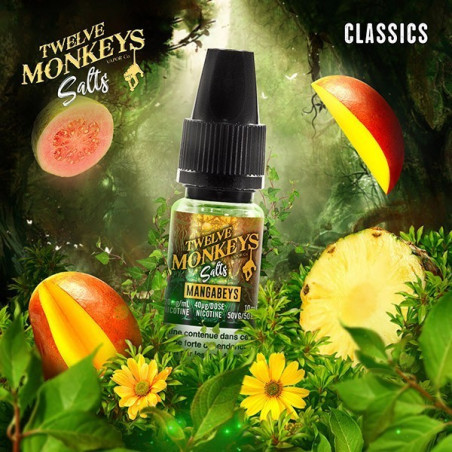 E LIQUIDE MANGABEYS SALTS - TWELVE MONKEYS--alavape.com