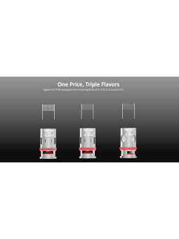 RÉSISTANCES HUMVEE / FOG 5PCS - SIGELEI-Ecigarettes-alavape.com