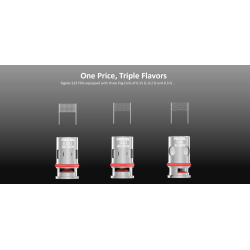 RÉSISTANCES HUMVEE / FOG 5PCS - SIGELEI-Ecigarettes-alavape.com