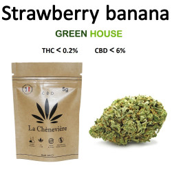 STRAWBERRY BANANA FLEUR - LA CHÈNEVIÈRE CBD-CBD-alavape.com