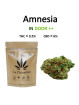 AMNESIA HAZE FLEUR - LA CHÈNEVIÈRE CBD-CBD-alavape.com