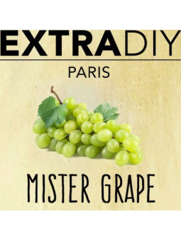 CONCENTRÉ RAISIN 'MISTER GRAPE' - EXTRADIY-DIY - Do It Yourself-alavape.com
