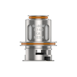 RÉSISTANCES Z MAX M SERIES / 5PCS - GEEKVAPE-Ecigarettes-alavape.com