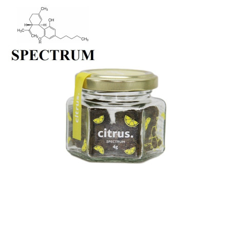 CITRUS - SPECTRUM-CBD-alavape.com
