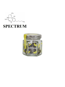 CITRUS - SPECTRUM-CBD-alavape.com