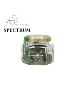AMNESILIUM - SPECTRUM-CBD-alavape.com