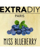 CONCENTRÉ MYRTILLE - EXTRADIY-DIY - Do It Yourself-alavape.com