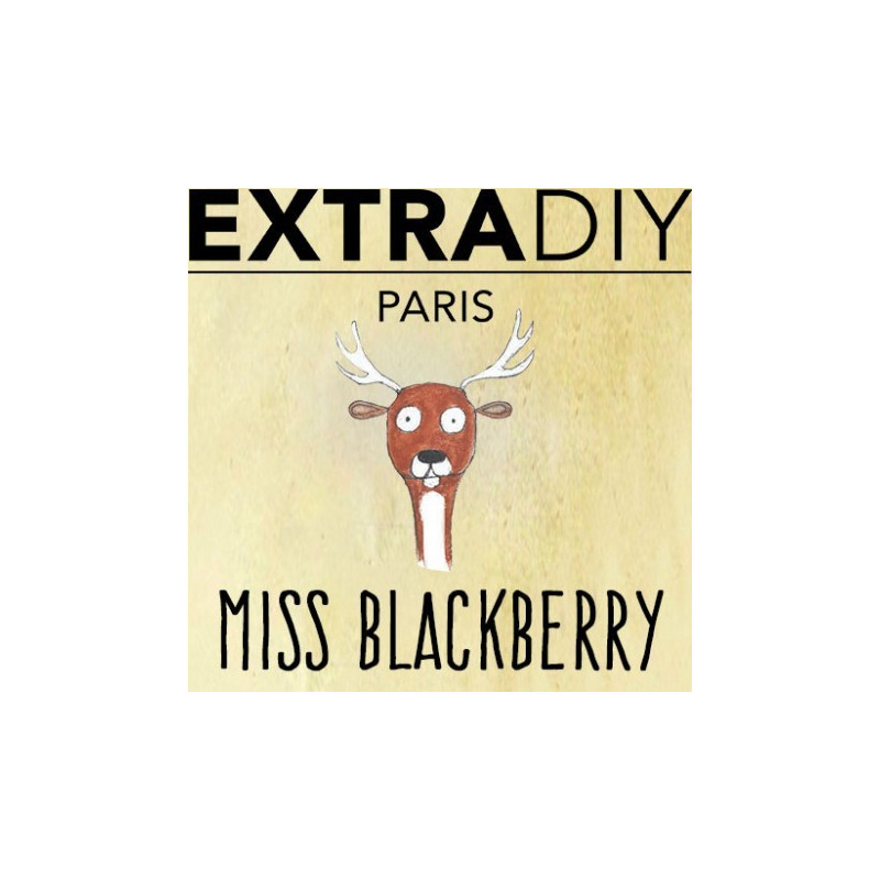 CONCENTRÉ MURE - EXTRADIY-DIY - Do It Yourself-alavape.com