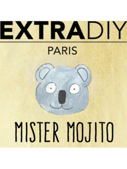 CONCENTRÉ MOJITO - EXTRADIY-DIY - Do It Yourself-alavape.com