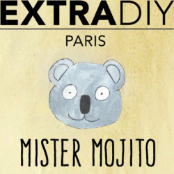 CONCENTRÉ MOJITO - EXTRADIY-DIY - Do It Yourself-alavape.com