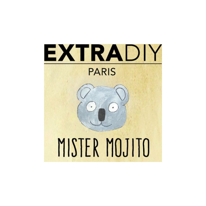 CONCENTRÉ MOJITO - EXTRADIY-DIY - Do It Yourself-alavape.com