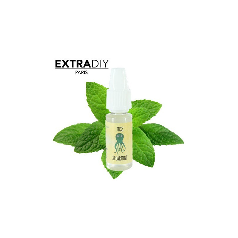 CONCENTRÉ MENTHE VERTE - EXTRADIY-DIY - Do It Yourself-alavape.com