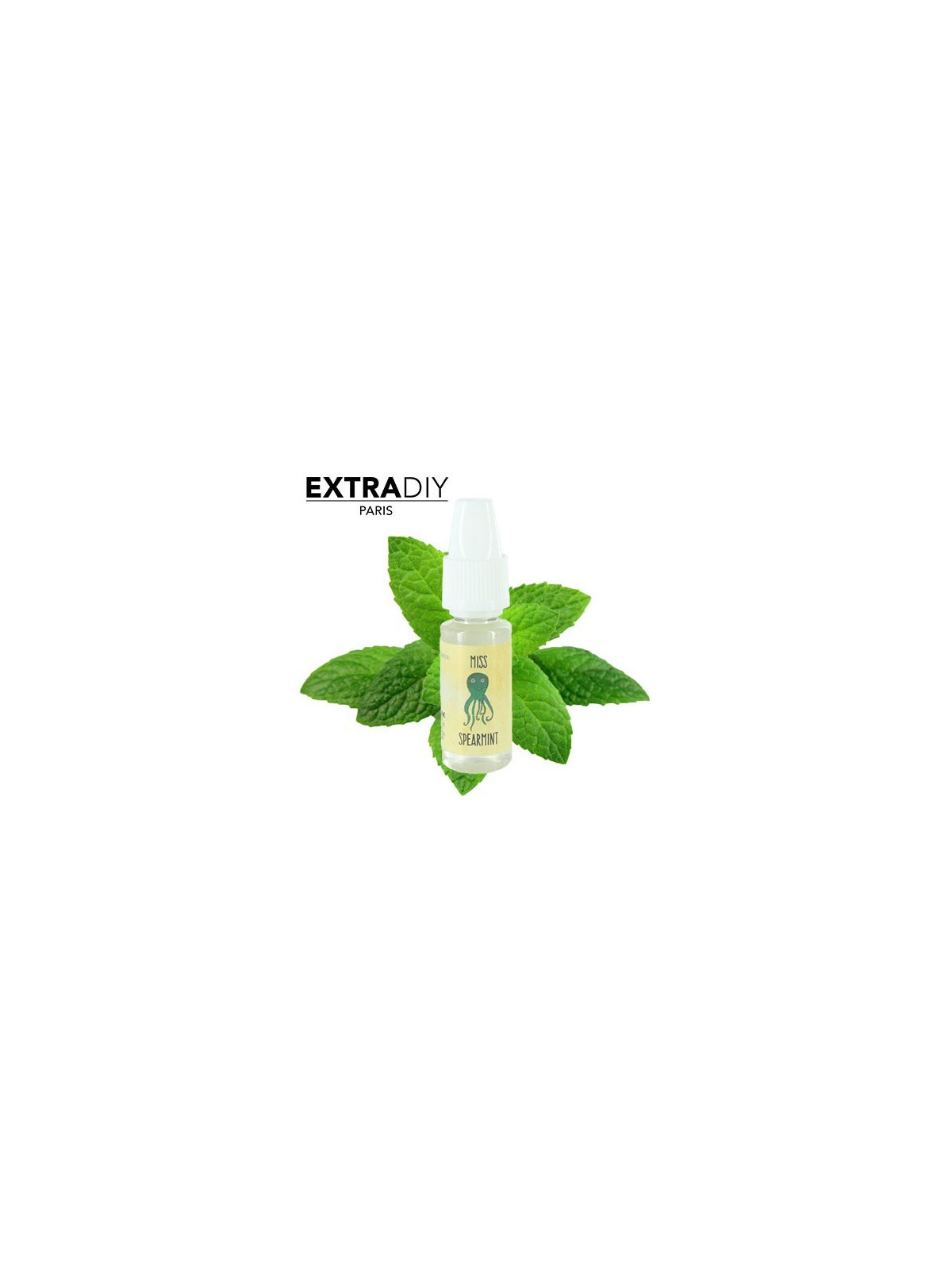 CONCENTRÉ MENTHE VERTE - EXTRADIY-DIY - Do It Yourself-alavape.com