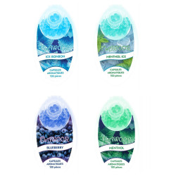 100 BILLES SAVEUR AROMATISÉES / 10PCS FLAWOOR-Accessoires-alavape.com