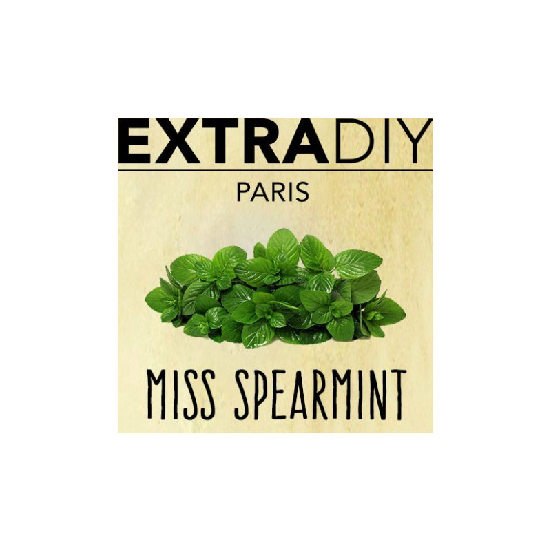CONCENTRÉ MENTHE VERTE - EXTRADIY-DIY - Do It Yourself-alavape.com