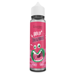 E LIQUIDE FREEZE DRUGINBUS 50ML - LIQUIDEO--alavape.com