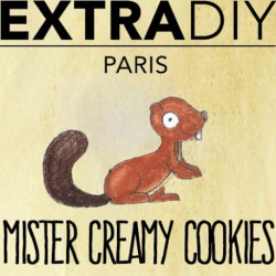 CONCENTRÉ COOKIES & CREAM 'MISTER CREAMY COOKIES' - EXTRADIY-DIY - Do It Yourself-alavape.com