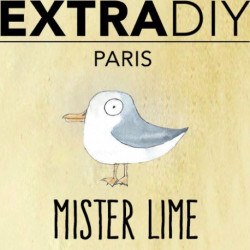CONCENTRÉ CITRON VERT 'MISTER LIME' - EXTRADIY-DIY - Do It Yourself-alavape.com