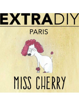 CONCENTRÉ CERISE 'MISS CHERRY' - EXTRADIY-DIY - Do It Yourself-alavape.com