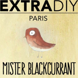 CONCENTRÉ CASSIS 'MISTER BLACKCURRANT' - EXTRADIY-DIY - Do It Yourself-alavape.com