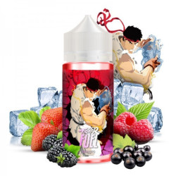 E LIQUIDE SEIRYUTO 100ML - FIGHTER FUEL--alavape.com