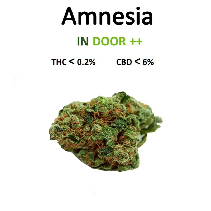 AMNESIA 100G - LA CHÈNEVIÈRE-CBD-alavape.com