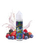 E LIQUIDE BONOGURT 50ML - TWELVE MONKEYS-Eliquides-alavape.com