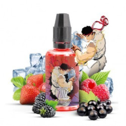 CONCENTRÉ SEIRYUTO 30ML - FIGHTER FUEL-DIY - Do It Yourself-alavape.com