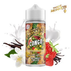 E LIQUIDE CONGO 100ML - COMING HOME FOR CHRISTMAS - TWELVE MONKEYS-Eliquides-alavape.com