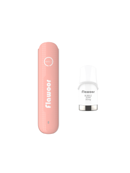 PUFF PASTÈQUE GLACÉE - FLAWOOR MATE 2-PUFFS-alavape.com