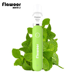 PUFF MENTHOL PREMIUM - FLAWOOR MATE 2-PUFFS-alavape.com