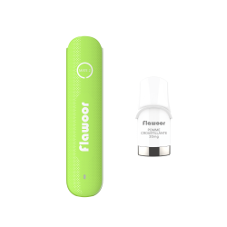 PUFF MENTHOL PREMIUM - FLAWOOR MATE 2-PUFFS-alavape.com