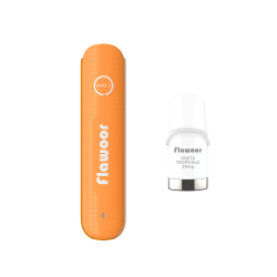 PUFF MANGUE GLACÉE - FLAWOOR MATE 2-PUFFS-alavape.com