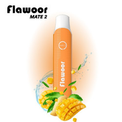 PUFF MANGUE GLACÉE - FLAWOOR MATE 2-PUFFS-alavape.com