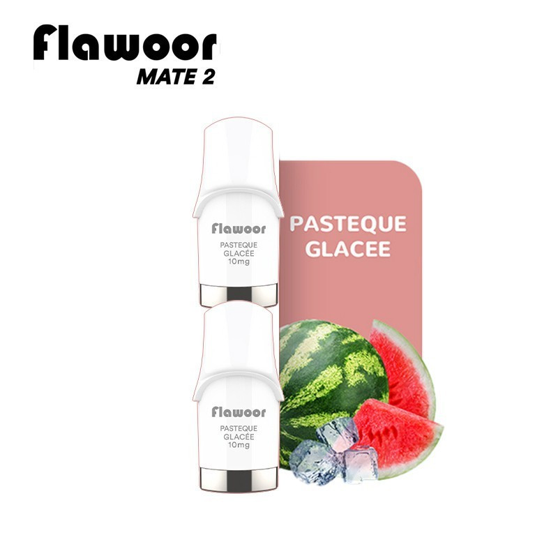 CARTOUCHES PUFF PASTÈQUE GLACÉE / 2PCS - FLAWOOR MATE 2-PUFFS-alavape.com
