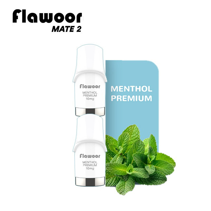 CARTOUCHES PUFF MENTHOL PREMIUM / 2PCS - FLAWOOR MATE 2-PUFFS-alavape.com