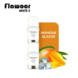 CARTOUCHES PUFF MANGUE GLACÉE / 2PCS - FLAWOOR MATE 2-PUFFS-alavape.com