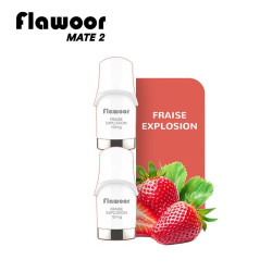CARTOUCHES PUFF FRAISE SAUVAGE / 2PCS - FLAWOOR MATE 2-PUFFS-alavape.com