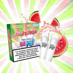 CARTOUCHES PUFF JUS DE PASTÈQUE / 2PCS - BIG PUFF RELOAD-PUFFS-alavape.com