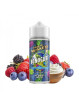 E-LIQUIDE BONOGURT 100ML - TWELVE MONKEYS