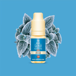E-LIQUIDE LE POD LIQUIDE MENTHE POLAIRE SELS DE NICOTINE 10ML - PULP