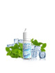 E-LIQUIDE WSALT FLAVORS MENTHE FRAICHE SELS DE NICOTINE 10ML - LIQUIDEO