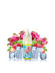 Concentré Dragon Killer arome 10ML - FRUIZEE