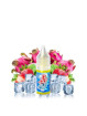 E-LIQUIDE FRUIZEE DRAGON KILLER 10ML - ELIQUID FRANCE