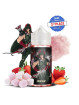 FUEL Irrow 100ml